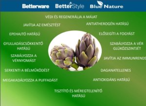 cynara scolymus fogyókúra 2018 cynara scolymus fogyókúra 2018